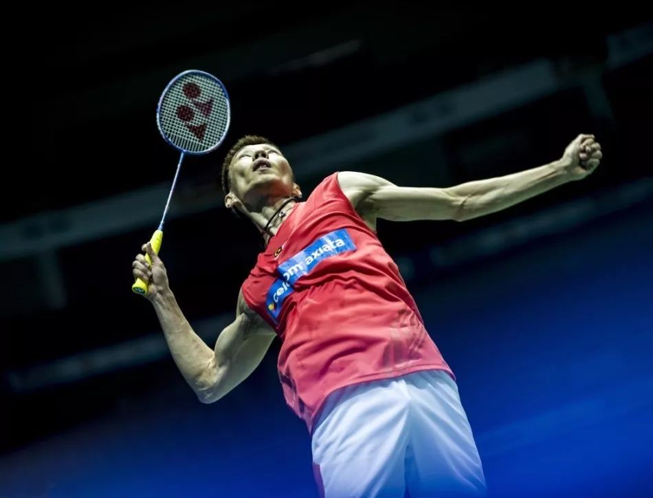 的优化不仅 的优化不仅