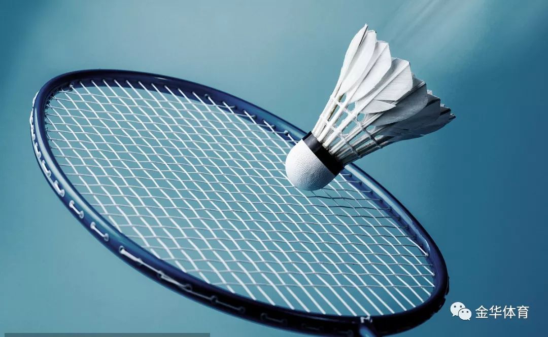 掘金队的尼 掘金队的尼