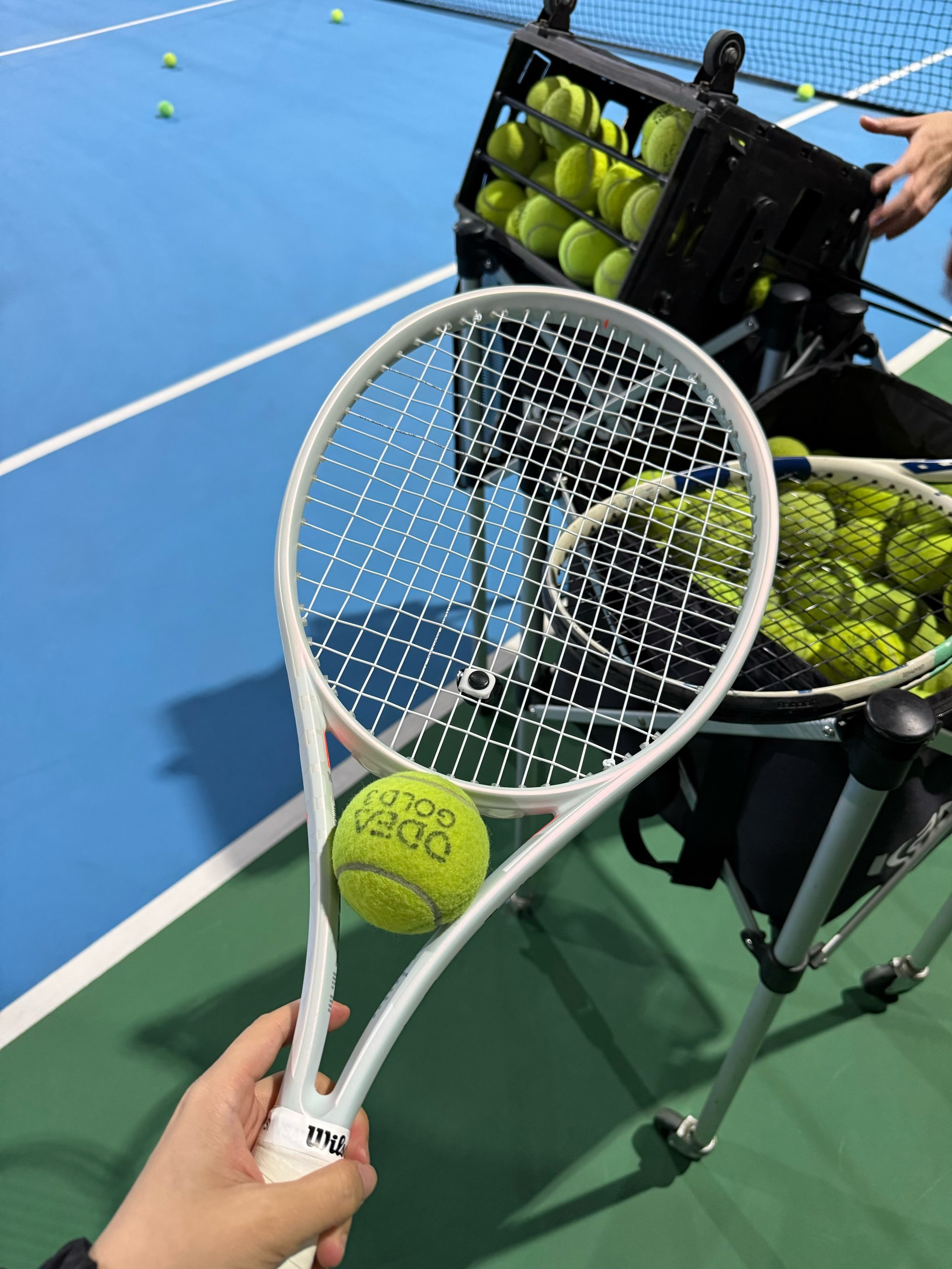 未来可能取 未来可能取