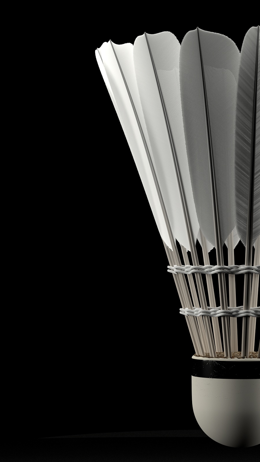 在现代体育 在现代体育