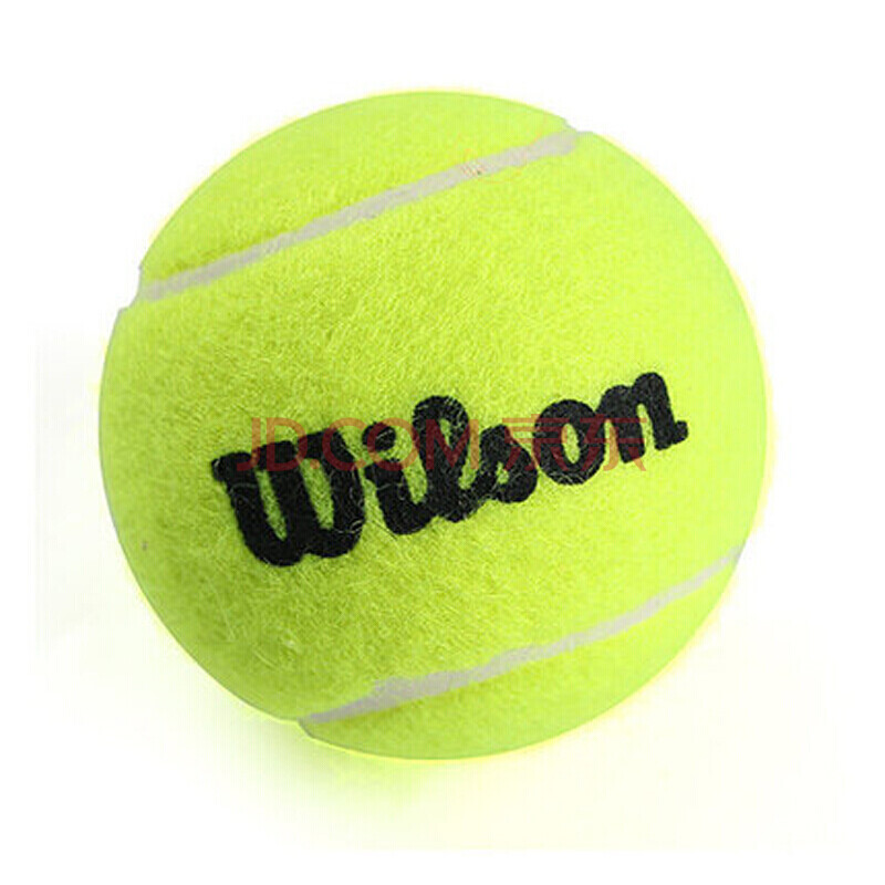 体育巴黎奥运会：跳水男子10米台 曹缘成功卫冕